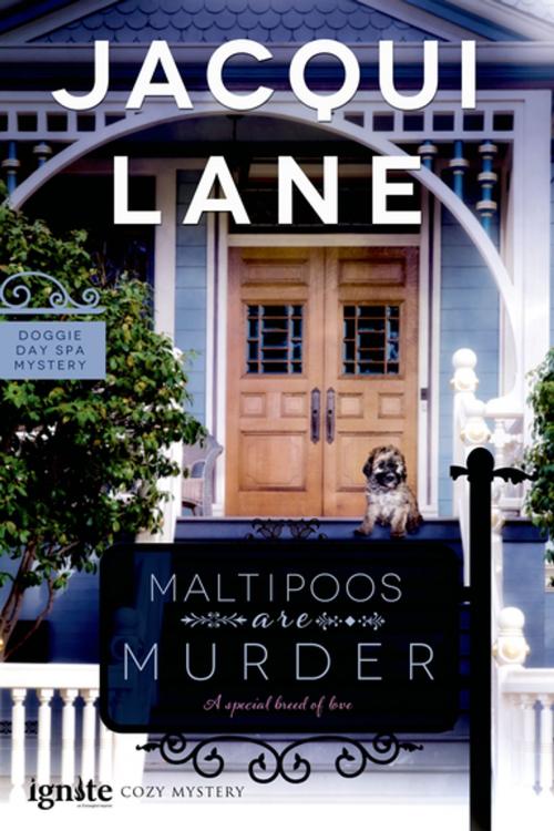 Cover of the book Maltipoos are Murder by Jacqui Lane, Entangled Publishing, LLC