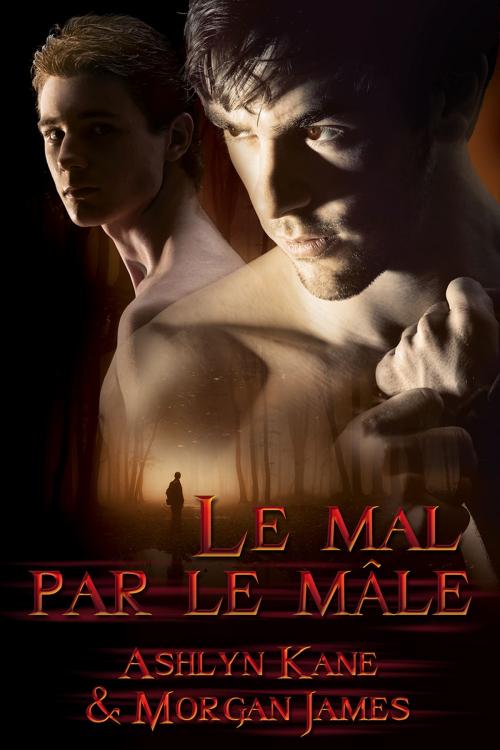 Cover of the book Le mal par le mâle by Morgan James, Ashlyn Kane, Dreamspinner Press