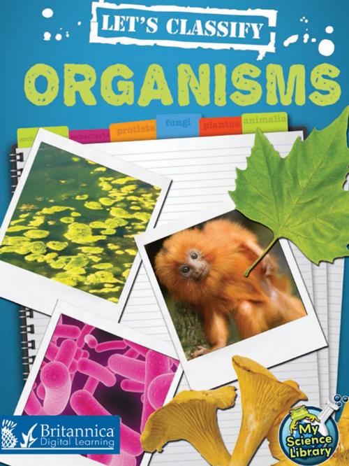 Cover of the book Let's Classify Organisms by Kelli Hicks, Britannica Digital Learning