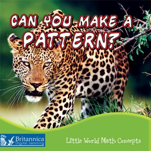 Cover of the book Can You Make a Pattern? by Lin Picou, Britannica Digital Learning