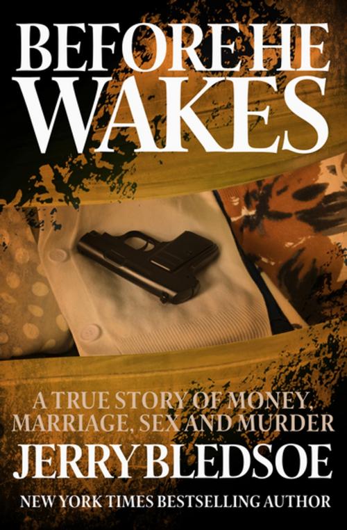 Cover of the book Before He Wakes by Jerry Bledsoe, Diversion Books