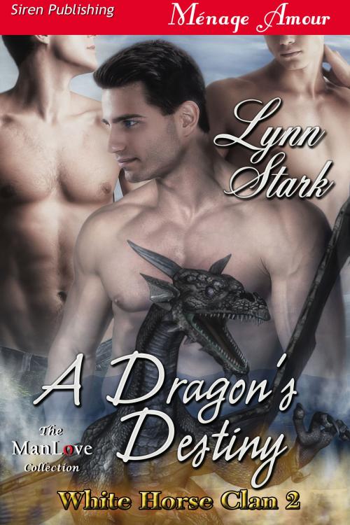 Cover of the book A Dragon's Destiny by Lynn Stark, Siren-BookStrand