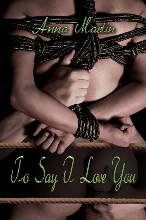 Cover of the book To Say I Love You by Anna Martin, Dreamspinner Press