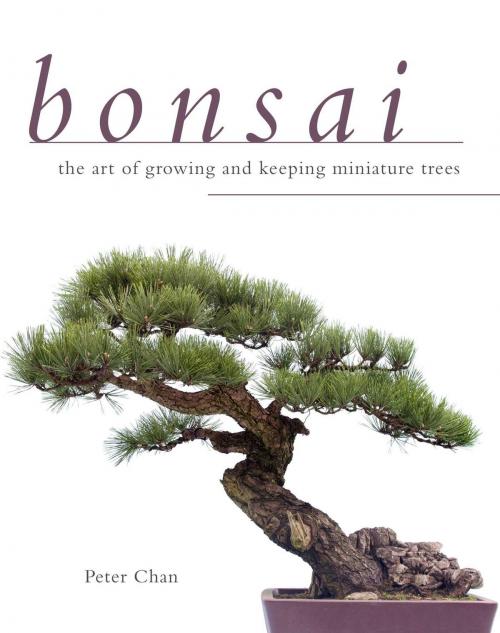 Cover of the book Bonsai by Peter Chan, Skyhorse