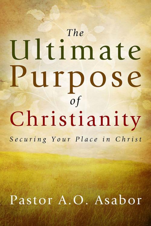 Cover of the book The Ultimate Purpose of Christianity by Pastor A.O. Asabor, Redemption Press
