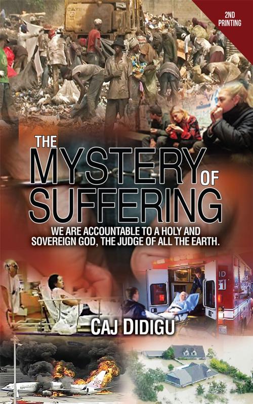 Cover of the book The Mystery of Suffering by Caj Didigu, Redemption Press