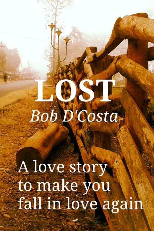 Cover of the book Lost by Bob D'Costa, booksmango