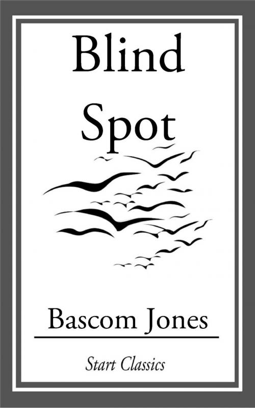 Cover of the book Blind Spot by Bascom Jones, Start Classics