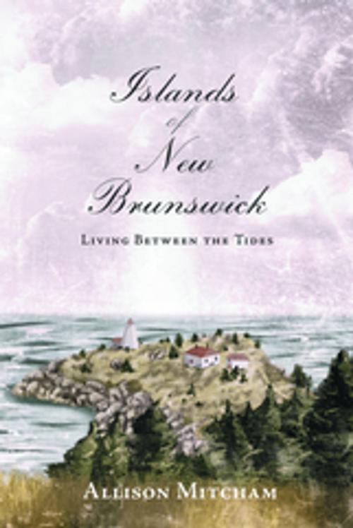 Cover of the book Islands of New Brunswick by Allison Mitcham, Nimbus