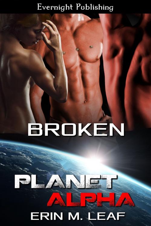 Cover of the book Broken by Erin M. Leaf, Evernight Publishing