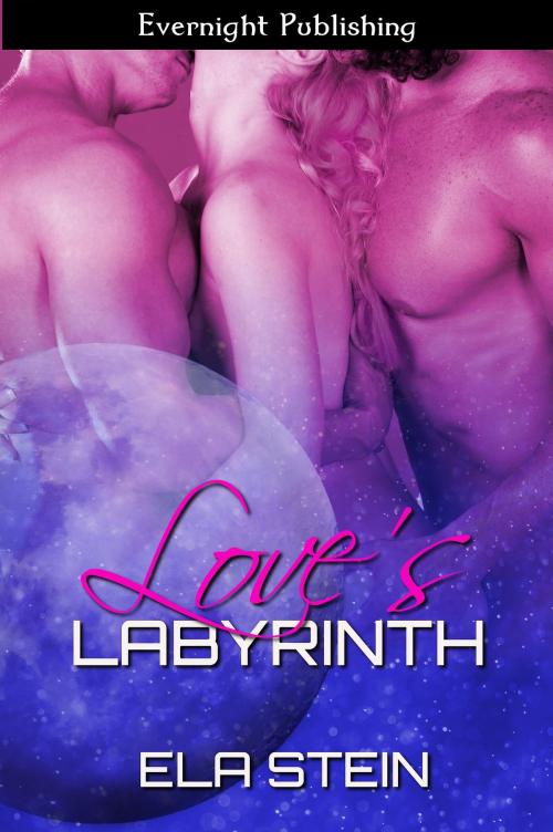 Cover of the book Love's Labyrinth by Ela Stein, Evernight Publishing
