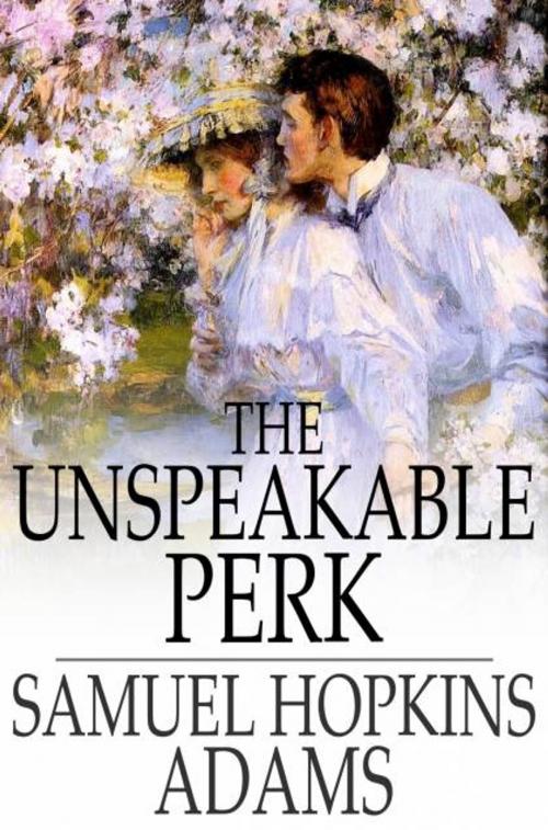 Cover of the book The Unspeakable Perk by Samuel Hopkins Adams, The Floating Press