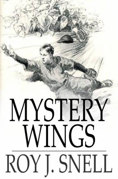 Cover of the book Mystery Wings by Roy J. Snell, The Floating Press
