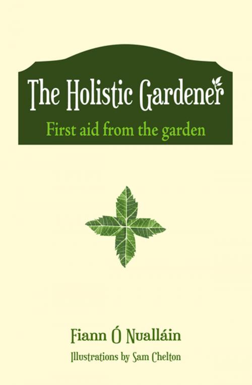 Cover of the book The Holistic Gardener: First Aid from the Garden by Fiann Ó Nualláin, Mercier Press