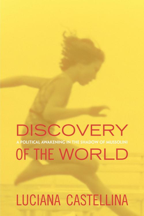 Cover of the book Discovery of the World by Luciana Castellina, Verso Books
