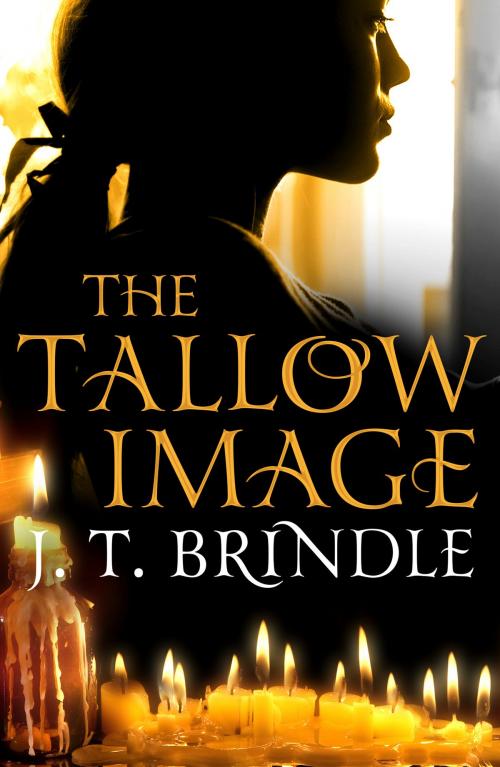 Cover of the book The Tallow Image by J.T. Brindle, Head of Zeus