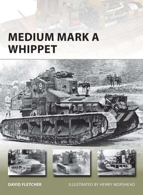 Cover of the book Medium Mark A Whippet by David Fletcher, Bloomsbury Publishing