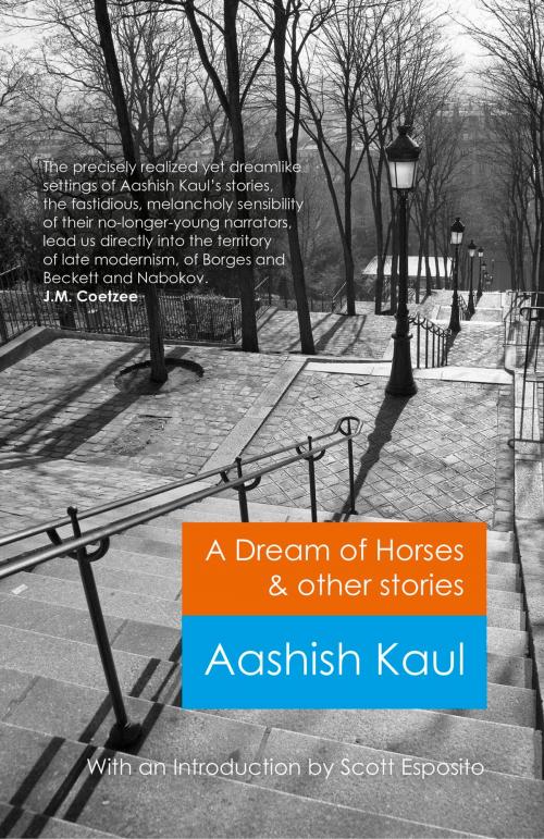 Cover of the book A Dream of Horses & Other Stories by Aashish Kaul, John Hunt Publishing