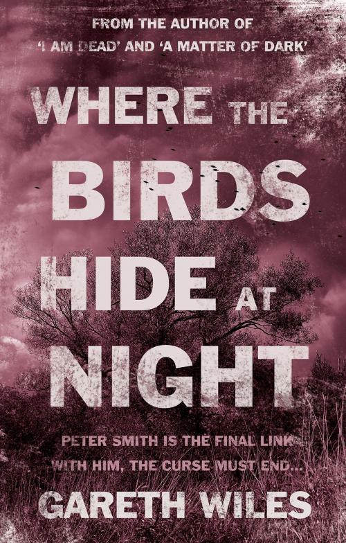 Cover of the book Where The Birds Hide At Night by Gareth Wiles, Troubador Publishing Ltd