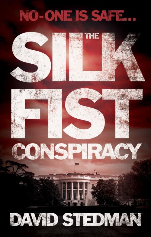 Cover of the book The Silk Fist Conspiracy by David Stedman, Troubador Publishing Ltd
