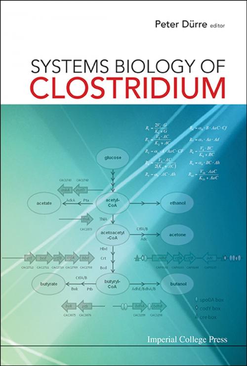 Cover of the book Systems Biology of Clostridium by Peter Dürre, World Scientific Publishing Company