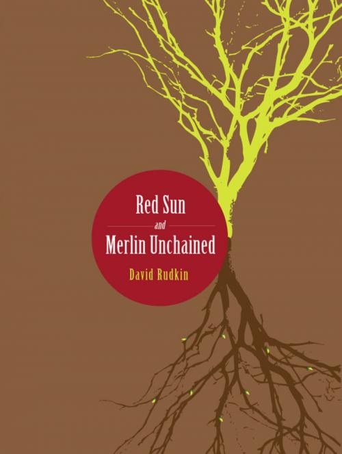Cover of the book Red Sun and Merlin Unchained by David Rudkin, Intellect Books Ltd