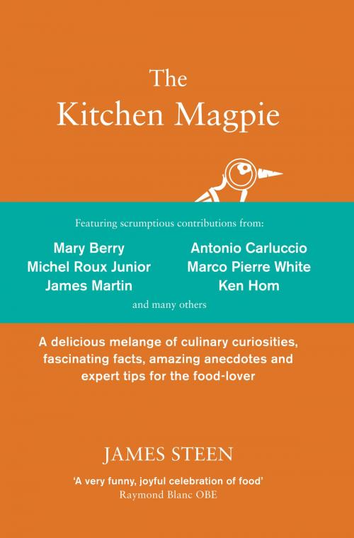Cover of the book The Kitchen Magpie by James Steen, Icon Books Ltd