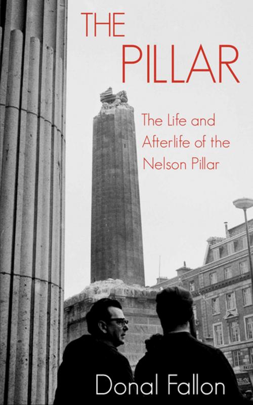 Cover of the book The Pillar by Donal Fallon, New Island Books