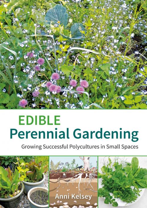 Cover of the book Edible Perennial Gardening by Anni Kelsey, Permanent Publications
