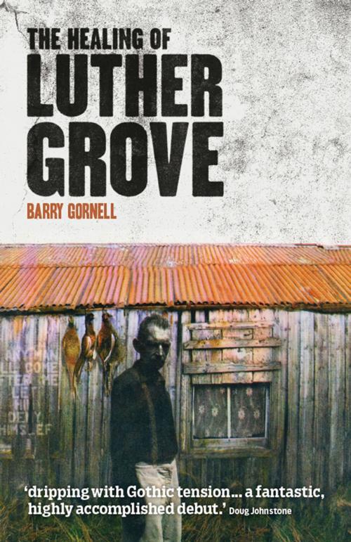 Cover of the book The Healing of Luther Grove by Barry Gornell, Freight Books