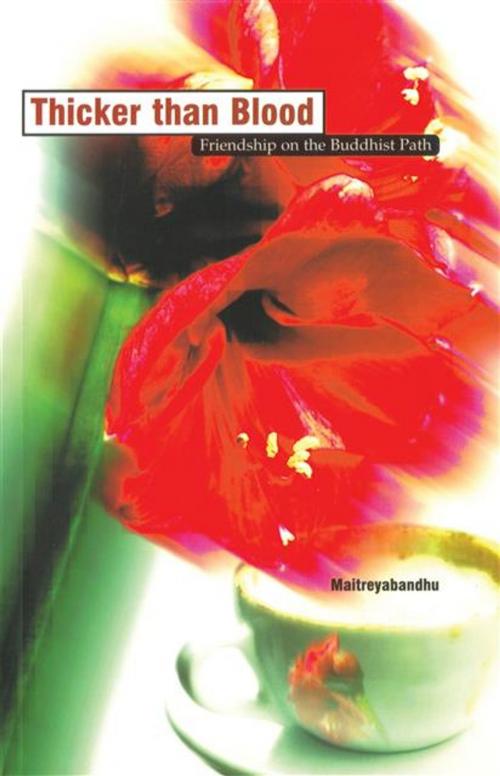 Cover of the book Thicker than Blood by Maitreyabandhu, Windhorse Publications Ltd
