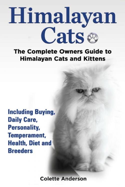 Cover of the book Himalayan Cats, The Complete Owners Guide to Himalayan Cats and Kittens Including Buying, Daily Care, Personality, Temperament, Health, Diet and Breeders by Colette Anderson, Evolution Knowledge Limited