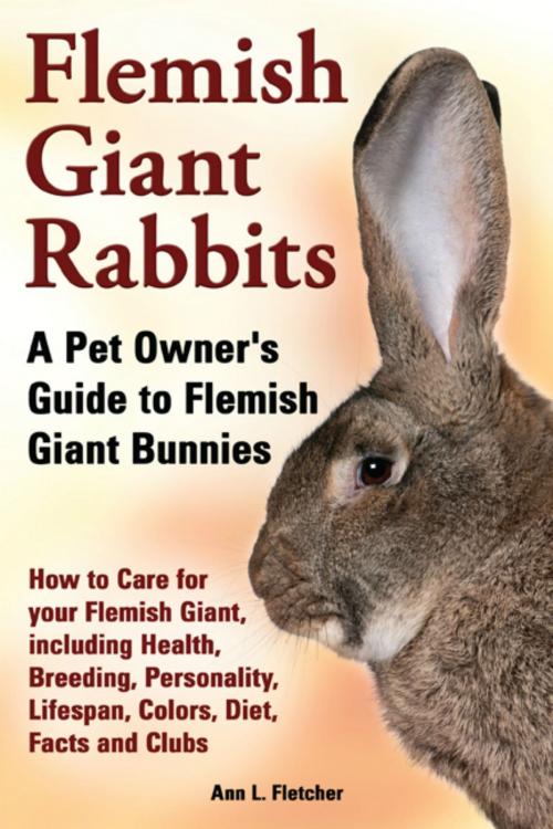 Cover of the book Flemish Giant Rabbits, A Pet Owner’s Guide to Flemish Giant Bunnies, How to Care for your Flemish Giant, including Health, Breeding, Personality, Lifespan, Colors, Diet, Facts and Clubs by Ann L. Fletcher, Evolution Knowledge Limited