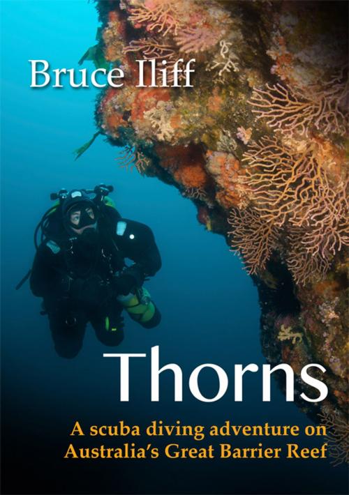 Cover of the book Thorns by Bruce Iliff, Australian eBook Publisher