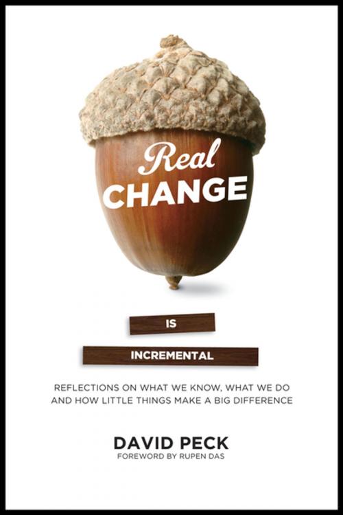Cover of the book Real Change Is Incremental by , BPS Books