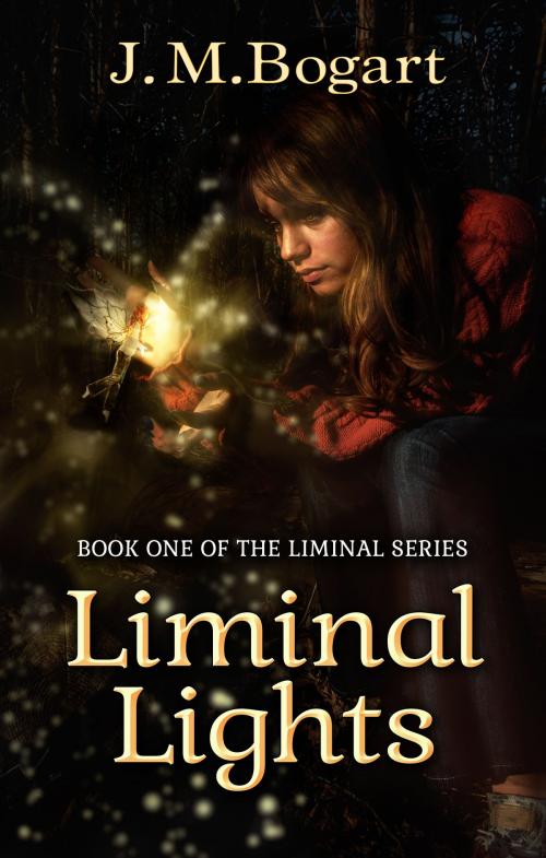 Cover of the book Liminal Lights by Jennifer Bogart, Morning Rain Publishing
