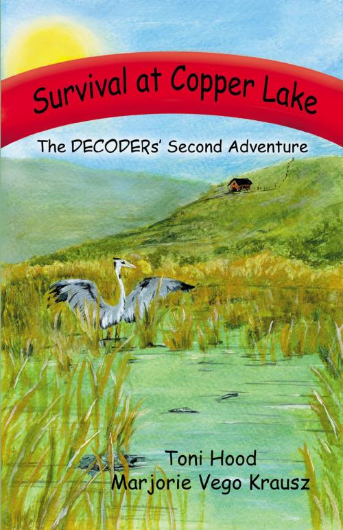 Cover of the book Survival at Copper Lake: The DECODERs Second Adventure by Marjorie Vego Krausz, Star Publish LLC