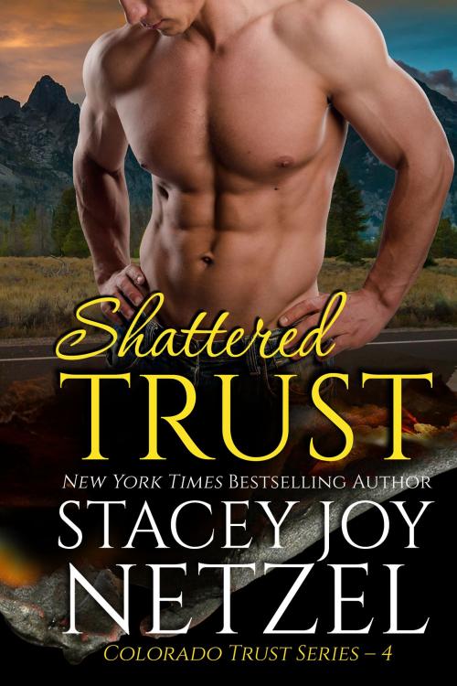 Cover of the book Shattered Trust (Colorado Trust Series - 4) by Stacey Joy Netzel, Stacey Joy Netzel