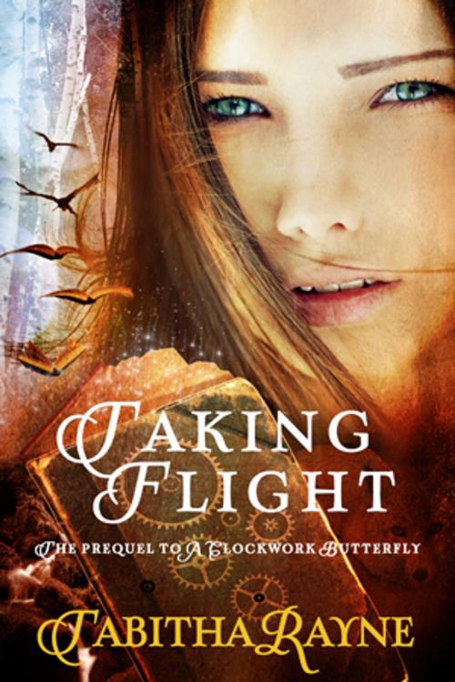Cover of the book Taking Flight by Tabitha Rayne, Beachwalk Press, Inc.