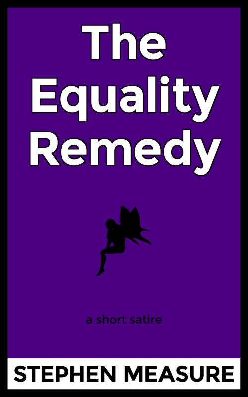 Cover of the book The Equality Remedy by Stephen Measure, Silver Layer Publications