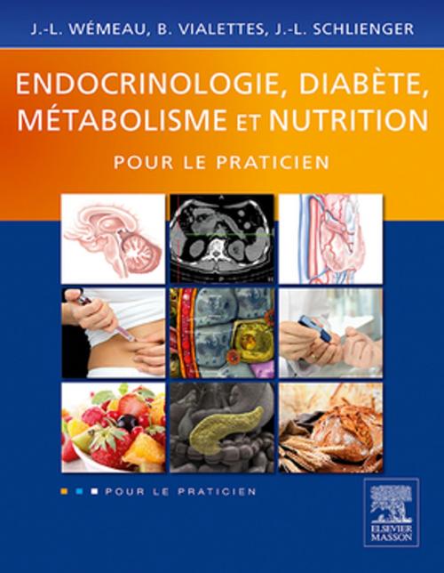 Cover of the book Endocrinologie, diabète, métabolisme et nutrition pour le praticien by Jean-Louis Wémeau, Jean-Louis Schlienger, Bernard Vialettes, Elsevier Health Sciences