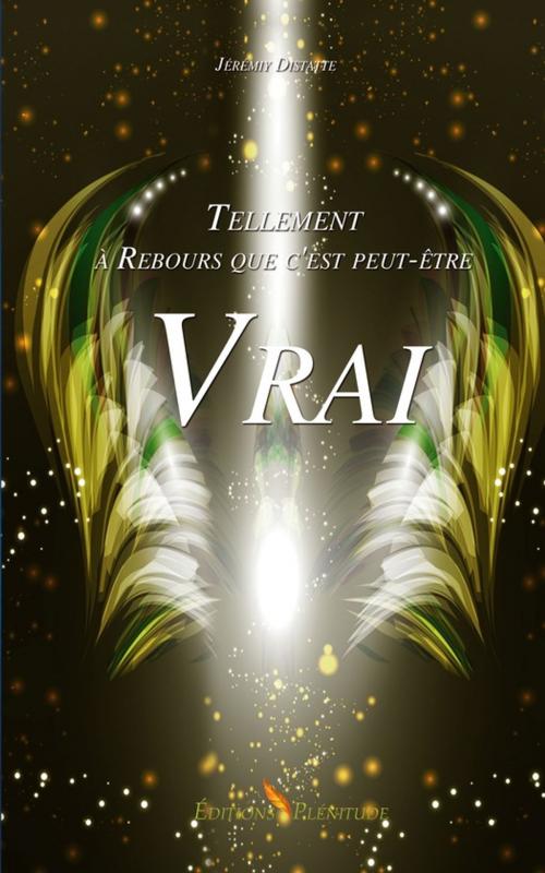 Cover of the book Tellement à Rebours que c'est peut-être Vrai by Jérémy Distatte, Plénitude