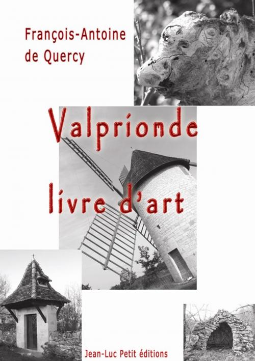 Cover of the book Valprionde, livre d'art by François-Antoine De Quercy, Jean-Luc PETIT Editions