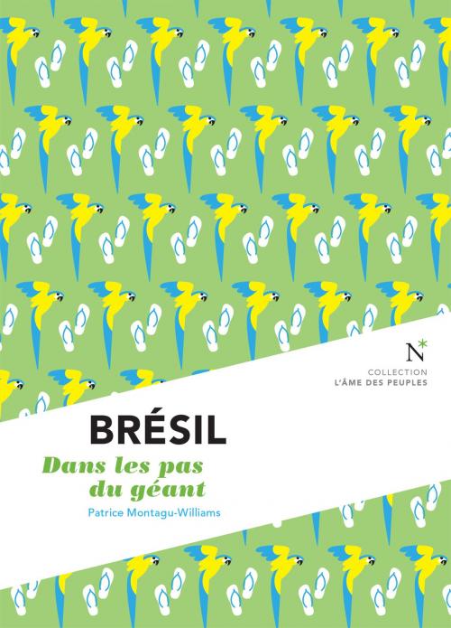 Cover of the book Brésil : Dans les pas du géant by Patrice Montagu-Williams, L'Âme des peuples, Nevicata