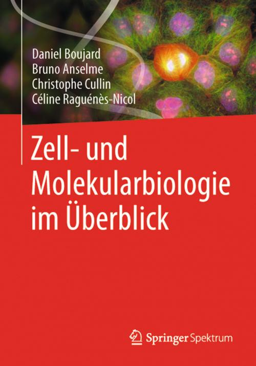 Cover of the book Zell- und Molekularbiologie im Überblick by Daniel Boujard, Bruno Anselme, Christophe Cullin, Céline Raguénès-Nicol, Springer Berlin Heidelberg