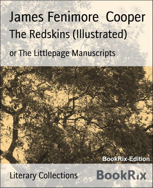 Cover of the book The Redskins (Illustrated) by James Fenimore Cooper, BookRix
