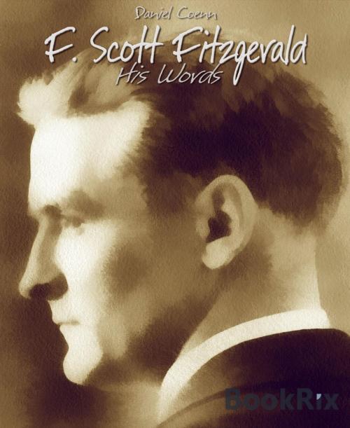 Cover of the book F. Scott Fitzgerald by Daniel Coenn, BookRix