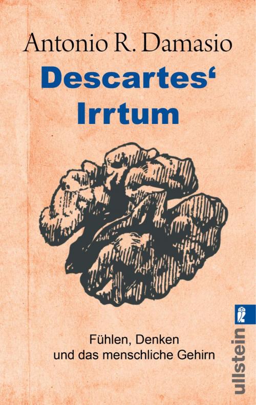 Cover of the book Descartes' Irrtum by Antonio R. Damasio, Ullstein Ebooks