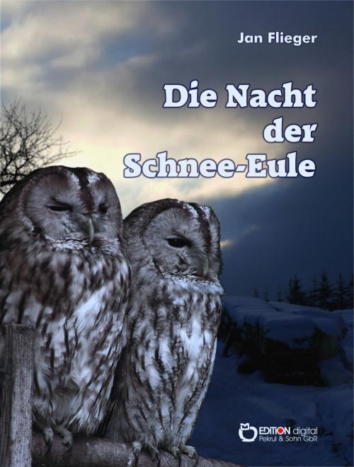 Cover of the book Die Nacht der Schnee-Eule by Jan Flieger, EDITION digital
