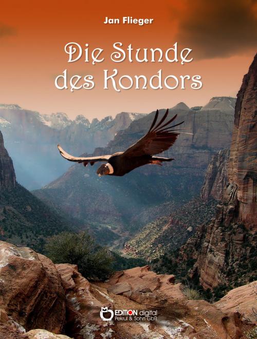 Cover of the book Die Stunde des Kondors by Jan Flieger, EDITION digital